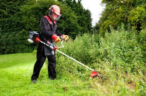brush-cutters9