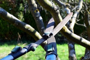 pruning-shears-4964455_6408