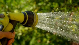 watering-1601143_64039